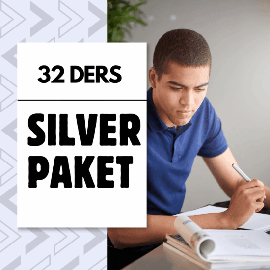 Birebir Özel Ders Silver